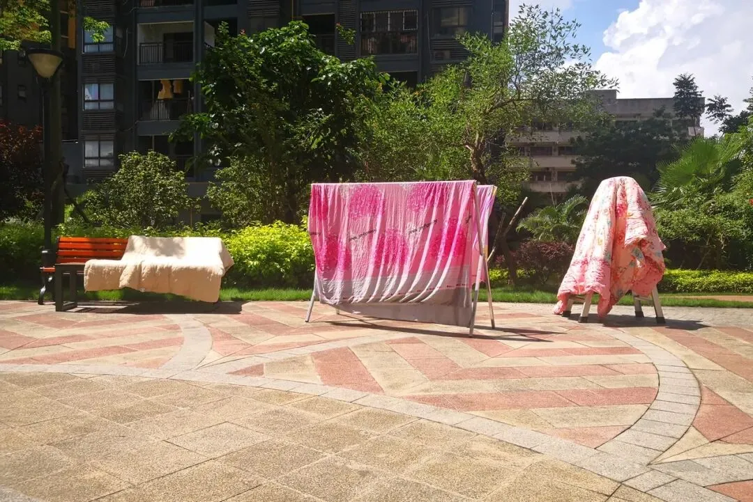 早安,宿城丨事关体育中考!最新提醒 第13张 早安,宿城丨事关体育中考!最新提醒 第13张