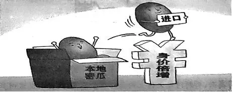 中考复习——综合性学习(语言运用、口语交际、图表解读、信息提取、活动设计) 第3张