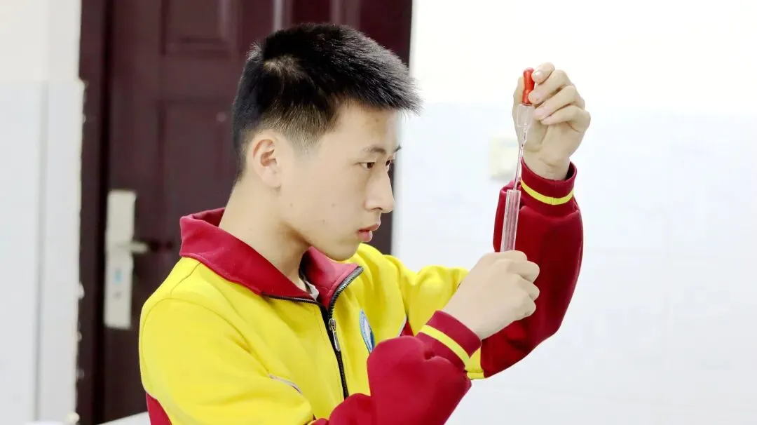 夯实实操功底全力备战中考——内乡菊潭学校有序开展理化生实验考前演练 第16张