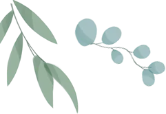 深耕明课堂,精准备中考 ——高明区教师发展中心莅临我校开展教学视导 第1张 深耕明课堂,精准备中考 ——高明区教师发展中心莅临我校开展教学视导 第1张