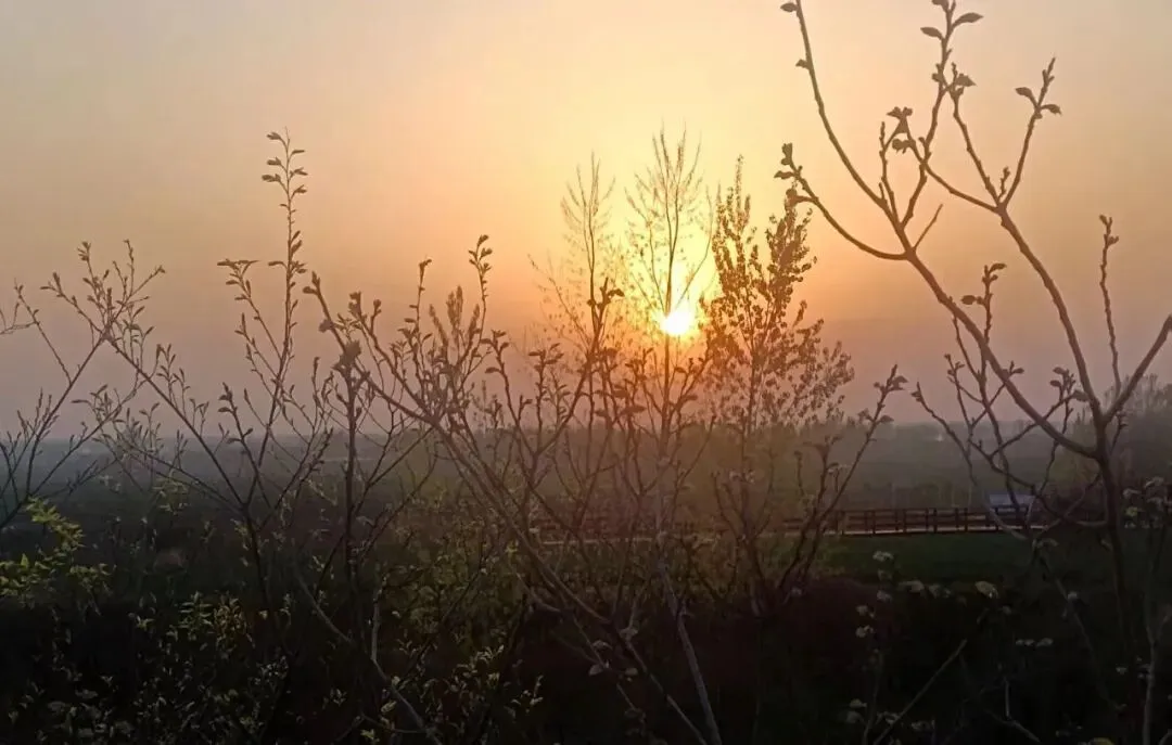 中考满分作文:希望 第1张