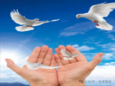 2026年中考道德与法治押题卷5份(1-5) 第17张