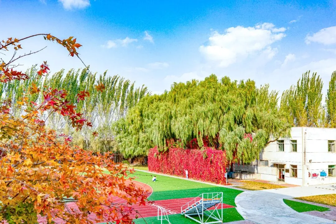 【中考升学】鲁迅美术学院附属中等美术学校2026年招生简章 第9张