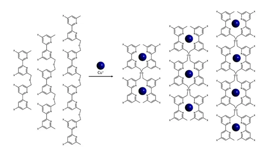 2604 杭州二模化学试卷解析与讲评 第22张
