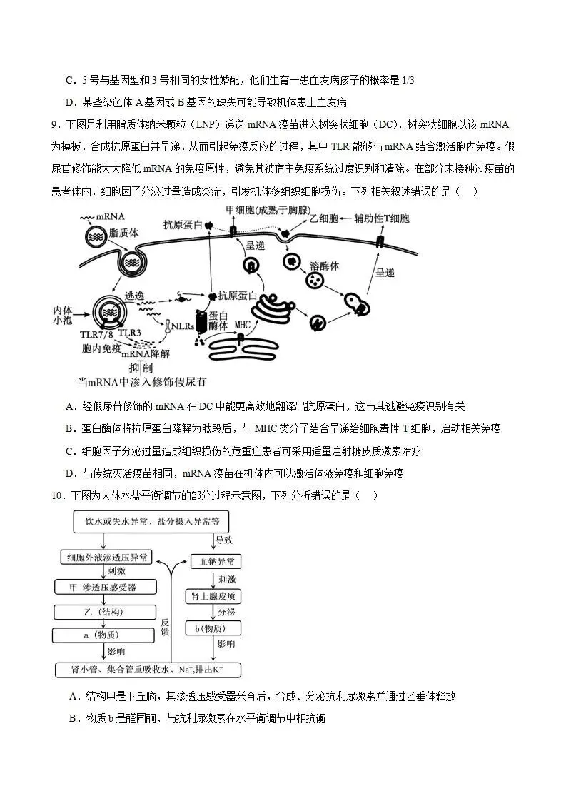 《高中试卷》2026安徽省合肥一六八中学高三下学期3月规范训练-生物 第5张