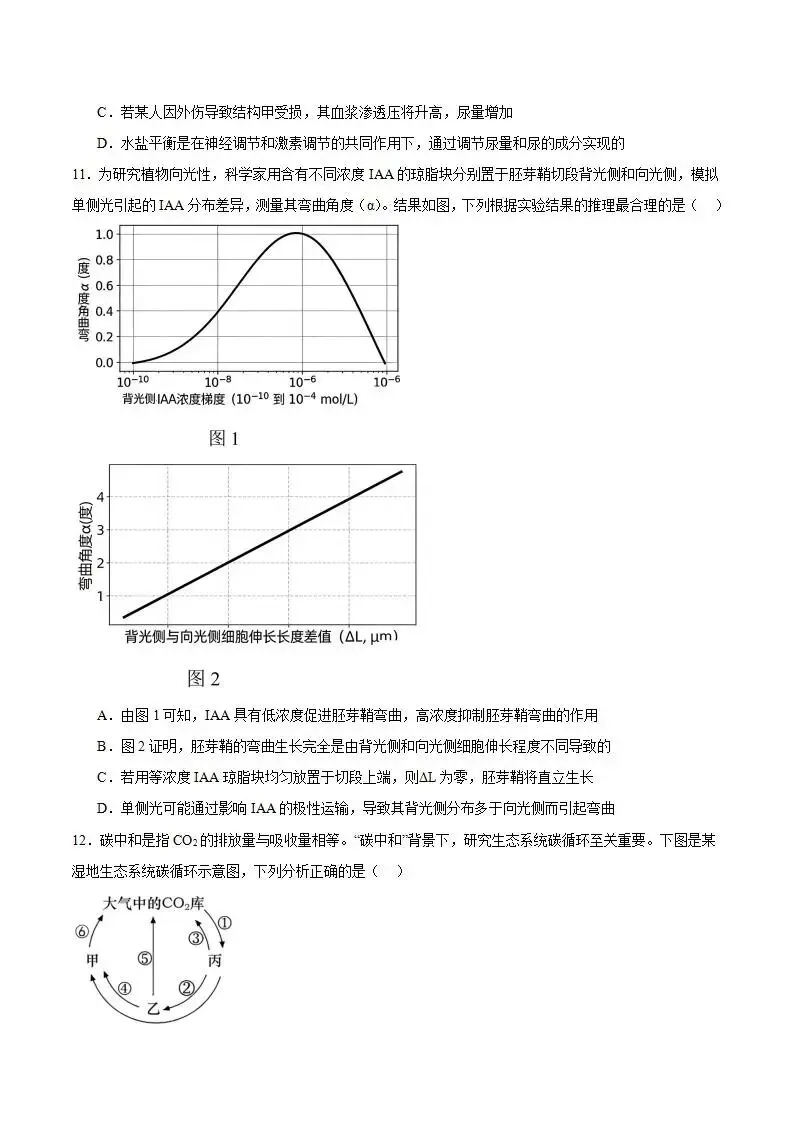 《高中试卷》2026安徽省合肥一六八中学高三下学期3月规范训练-生物 第6张
