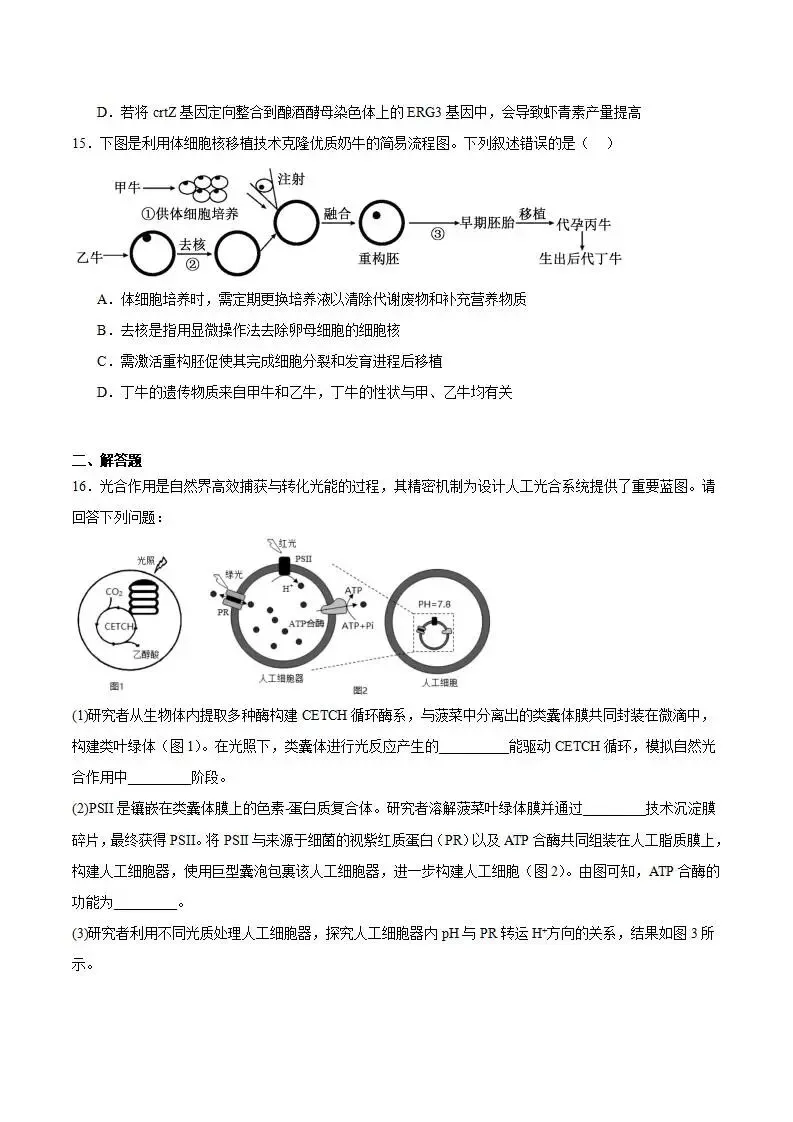 《高中试卷》2026安徽省合肥一六八中学高三下学期3月规范训练-生物 第8张