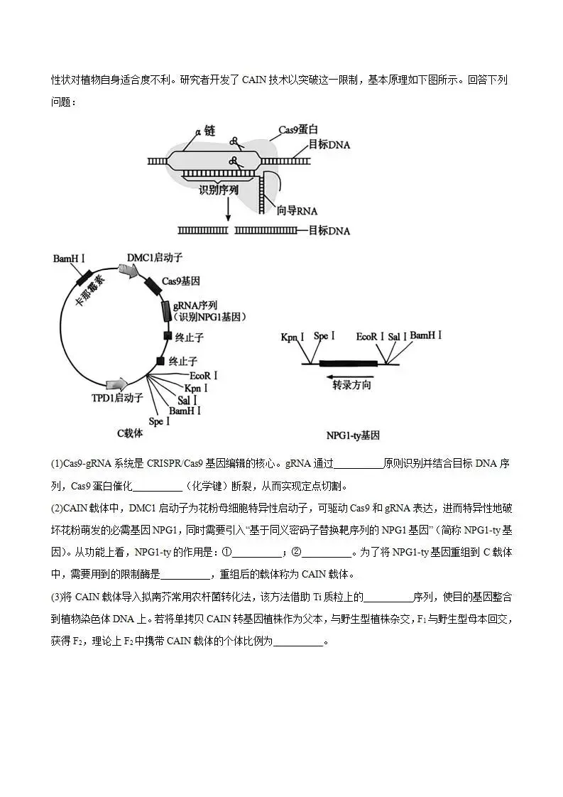 《高中试卷》2026安徽省合肥一六八中学高三下学期3月规范训练-生物 第12张