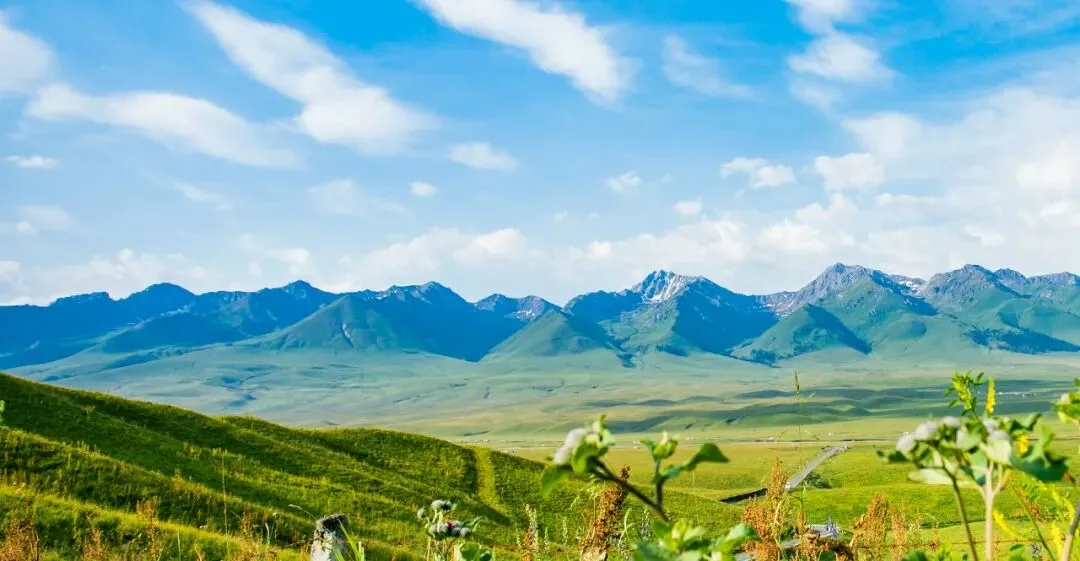 中考英语阅读理解---破解推断人物性格题型 第1张