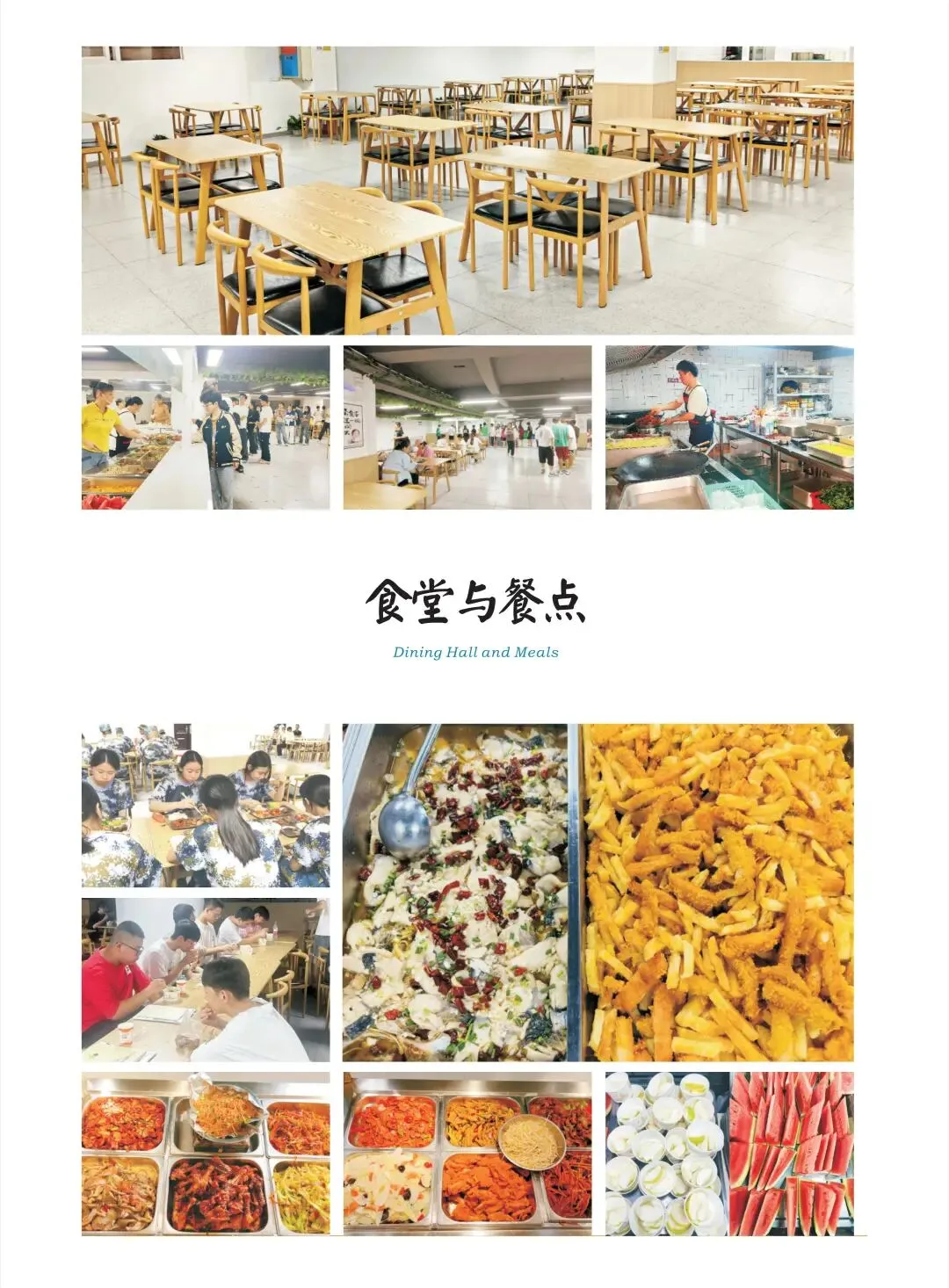 2026年4月湖北高三T8联考【物理】试卷及答案 第15张