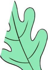 【26带背班】真题导向!加入『古典文献学』保研带背班,985中文系学长带你系统梳理高频考点,夯实学科基础~ 第16张 【26带背班】真题导向!加入『古典文献学』保研带背班,985中文系学长带你系统梳理高频考点,夯实学科基础~ 第16张