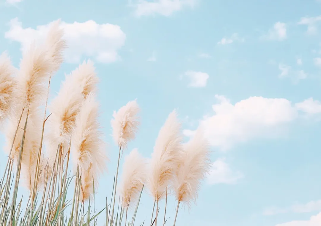 2026春新版七年级下册数学《期中真题·百题大通关》专题强化训练(含答案解析),完整电子版可打印 第3张