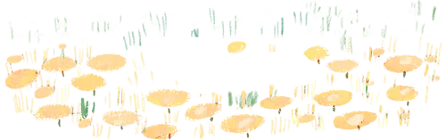 中考报名哪里去台儿庄区运河实验学校等您来——五大办学优势强 成才路上更辉煌 第2张