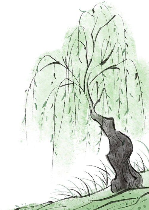 中考报名哪里去台儿庄区运河实验学校等您来——五大办学优势强 成才路上更辉煌 第3张