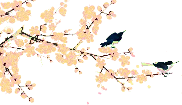 中考报名哪里去台儿庄区运河实验学校等您来——五大办学优势强 成才路上更辉煌 第8张