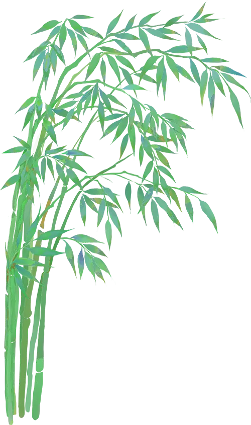 中考报名哪里去台儿庄区运河实验学校等您来——五大办学优势强 成才路上更辉煌 第9张