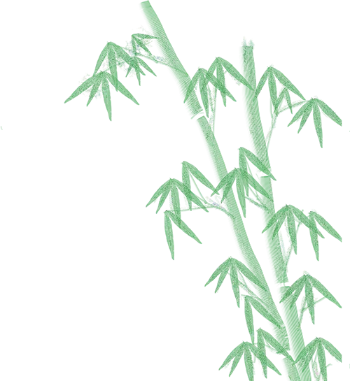 中考报名哪里去台儿庄区运河实验学校等您来——五大办学优势强 成才路上更辉煌 第56张