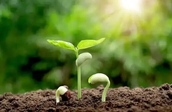 中考记叙文＂成长感悟＂主题写作全攻略 第1张