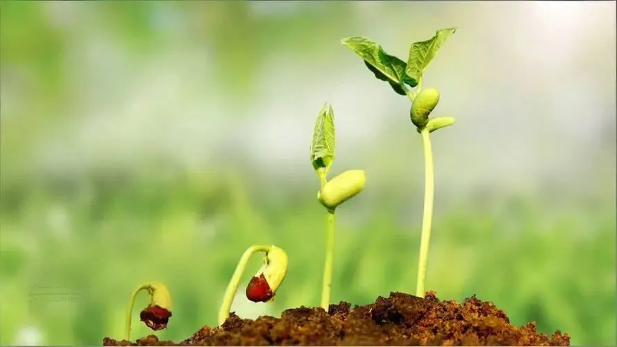 中考记叙文＂成长感悟＂主题写作全攻略 第2张