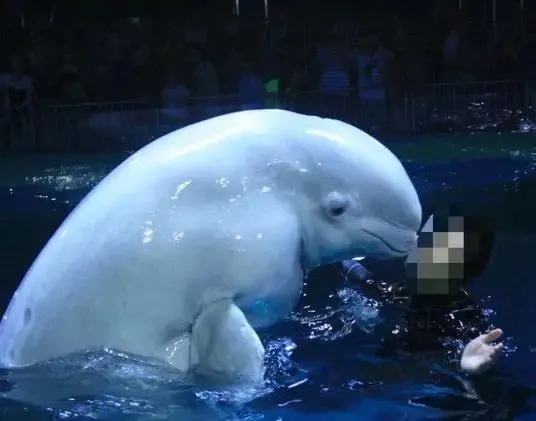 2026年中考道法选择题强化题库100题10(六册) 第15张