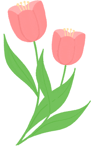 2026春一本《真题分类》生物、地理、物理 公式定律默写(数理化)3-6年级 第6张