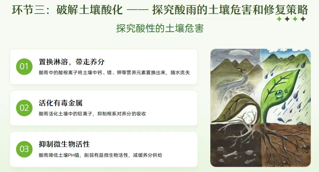 中考化学专题复习课件常见的酸碱盐复习课探究酸雨之谜 第10张