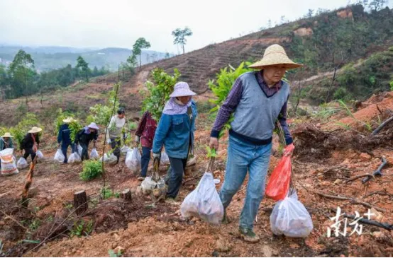 26中考时政热点及模拟试题(25)深江铁路/绿色航空/成品油价/南方生态 第9张 26中考时政热点及模拟试题(25)深江铁路/绿色航空/成品油价/南方生态 第9张