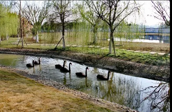 中考分数不高也能上名校!四川这所公办旅校,低分照样冲本科、包好前程 第4张