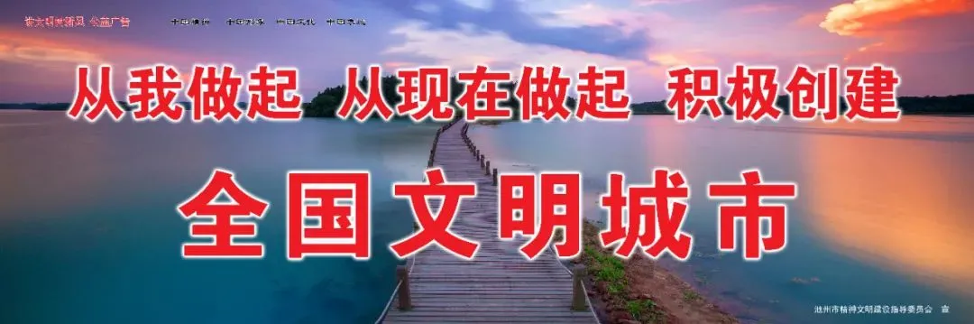 研思赋能备中考 笃行致远共成长 第10张