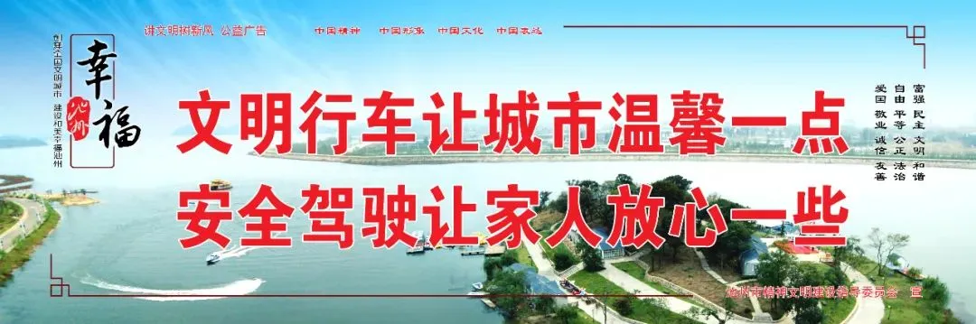 研思赋能备中考 笃行致远共成长 第13张