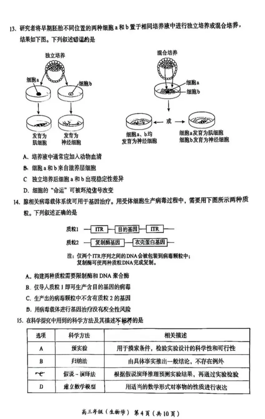 试卷速递|2026年北京市海淀区高三年级一模生物试卷(暂无答案) 第4张 试卷速递|2026年北京市海淀区高三年级一模生物试卷(暂无答案) 第4张