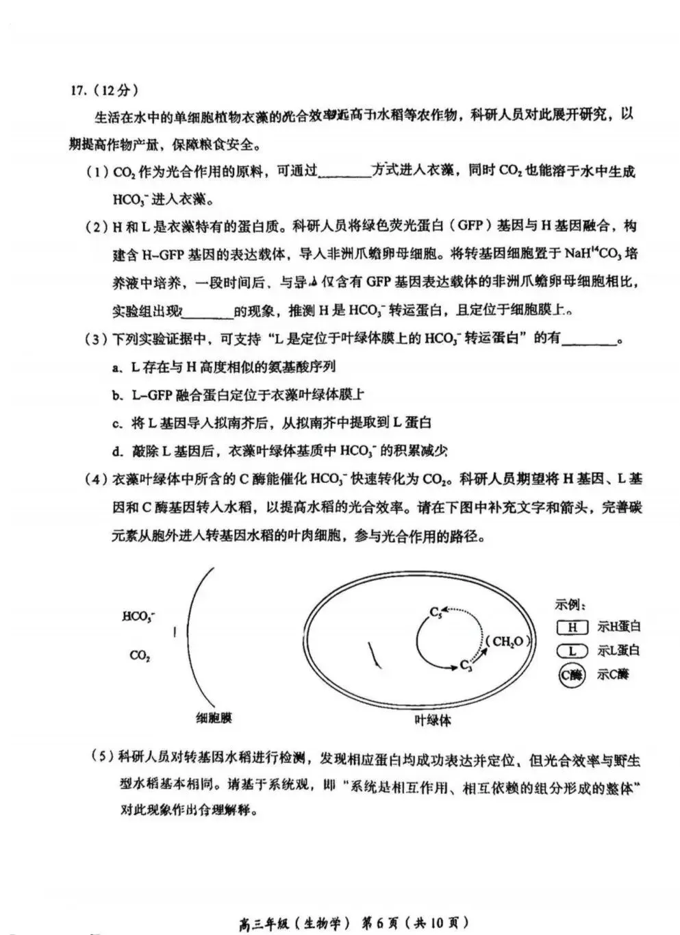 试卷速递|2026年北京市海淀区高三年级一模生物试卷(暂无答案) 第6张 试卷速递|2026年北京市海淀区高三年级一模生物试卷(暂无答案) 第6张