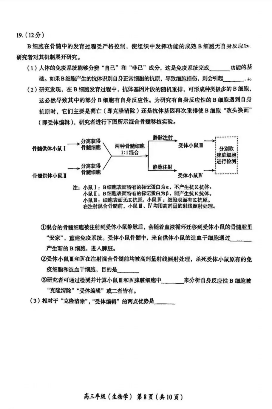试卷速递|2026年北京市海淀区高三年级一模生物试卷(暂无答案) 第8张 试卷速递|2026年北京市海淀区高三年级一模生物试卷(暂无答案) 第8张