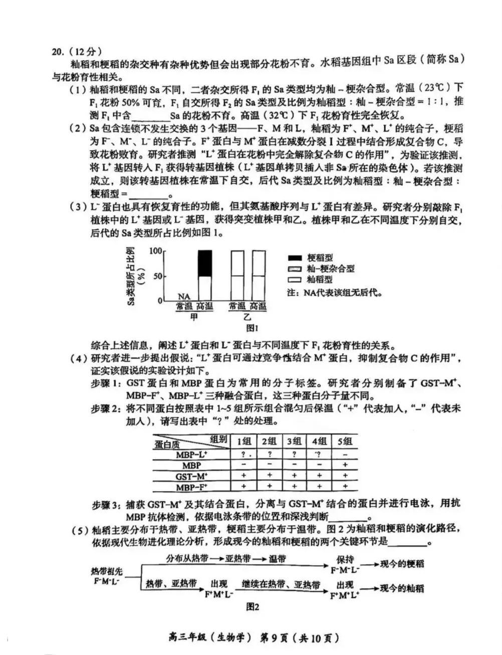试卷速递|2026年北京市海淀区高三年级一模生物试卷(暂无答案) 第9张 试卷速递|2026年北京市海淀区高三年级一模生物试卷(暂无答案) 第9张
