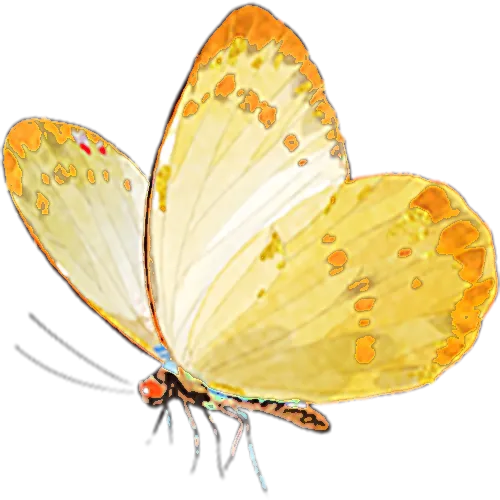 正优研训 | 深耕中考复习·赋能专业成长——学正中学承办初中数学24学时培训第二次活动 第8张