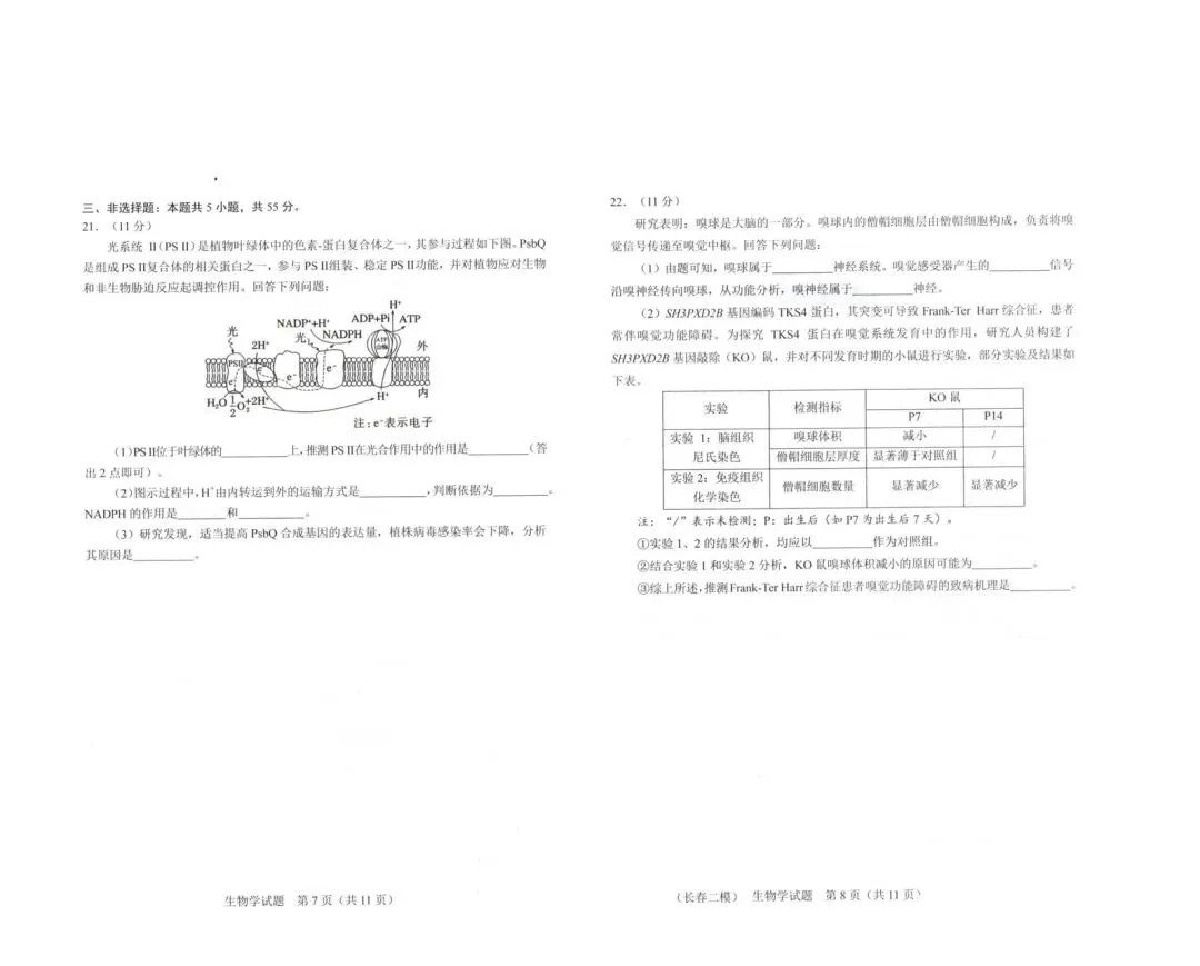 2026长春二模生物试卷 第4张