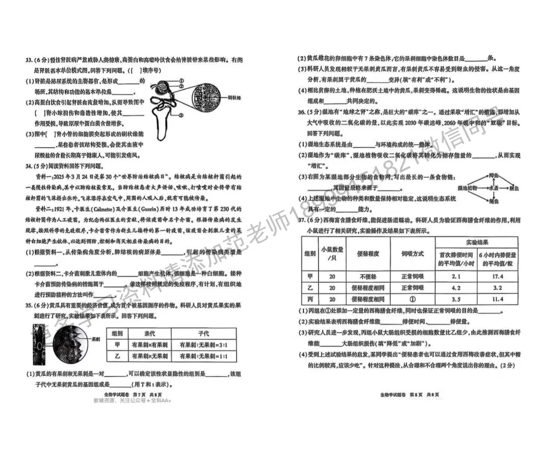 2025年(中考真题)新疆自治区/生产建设兵团初中学业水平考试生物试卷附答案解析 第4张 2025年(中考真题)新疆自治区/生产建设兵团初中学业水平考试生物试卷附答案解析 第4张