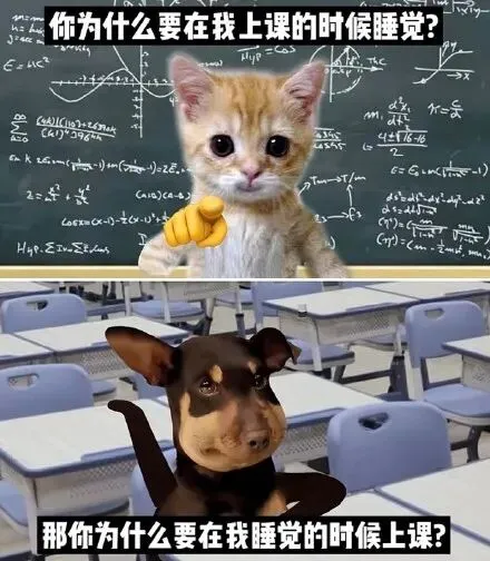 上海财经大学历年期中真题来了~ 第4张 上海财经大学历年期中真题来了~ 第4张