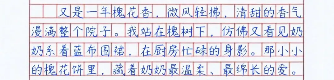 【中考满分作文拆解】手抄版《奶奶的槐花饼》 第3张 【中考满分作文拆解】手抄版《奶奶的槐花饼》 第3张