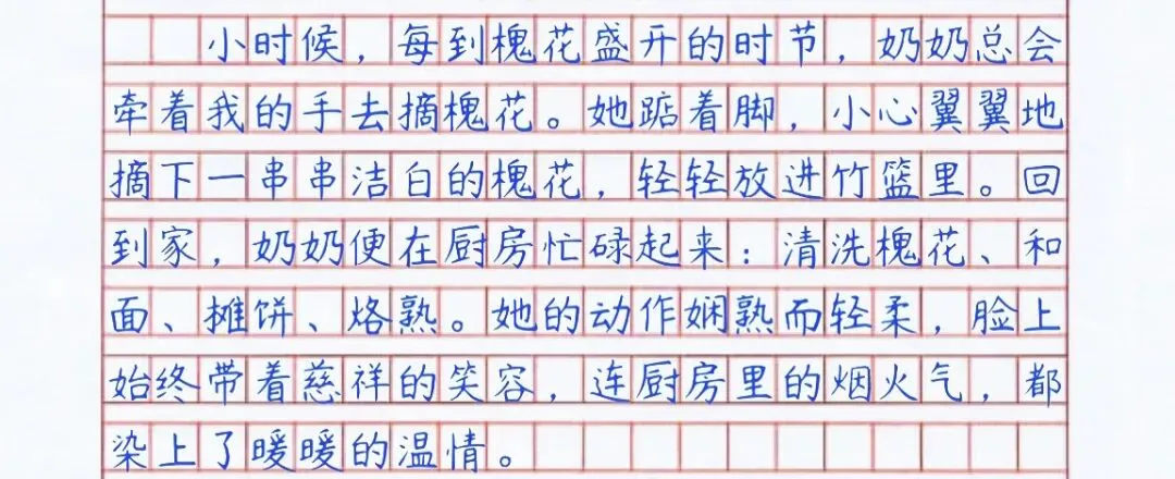 【中考满分作文拆解】手抄版《奶奶的槐花饼》 第4张 【中考满分作文拆解】手抄版《奶奶的槐花饼》 第4张