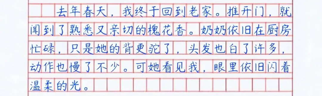 【中考满分作文拆解】手抄版《奶奶的槐花饼》 第7张 【中考满分作文拆解】手抄版《奶奶的槐花饼》 第7张