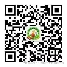 聚焦主旨解读•精准对接中考——南宁市碧翠园学校初中语文组“四校联合”教研活动 第16张
