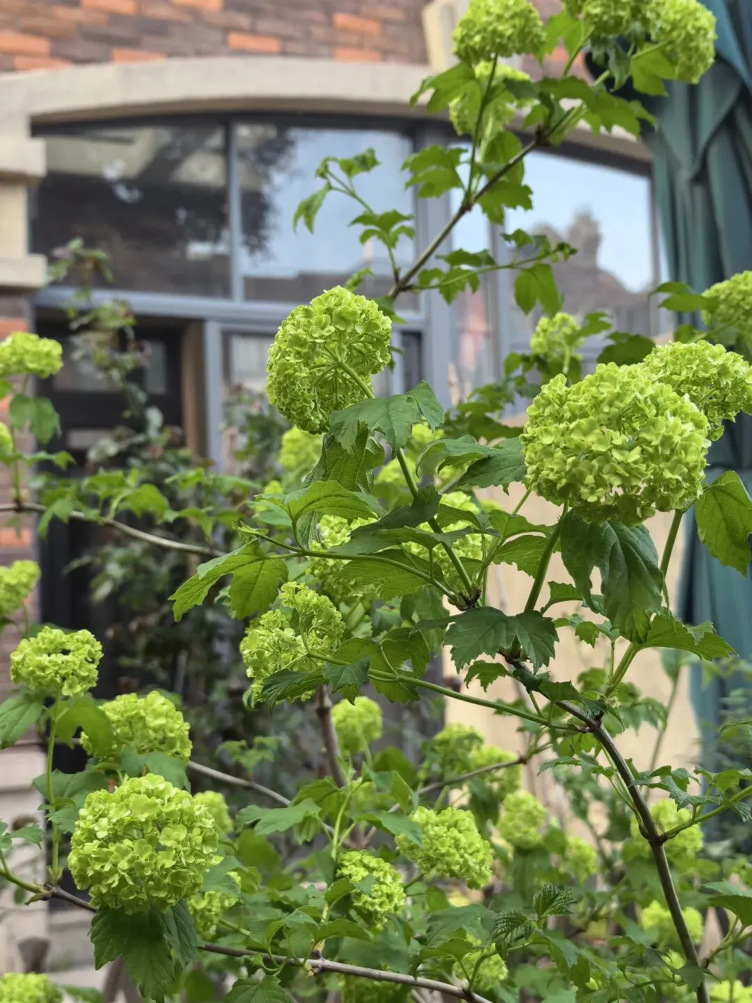 【中考语文复习】2025-2026学年上海市普陀区九年级(上)期末语文试卷(一模) 第2张