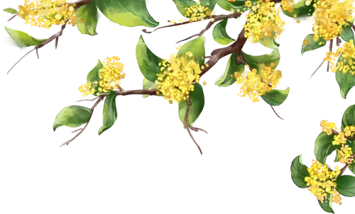 精研中考备考策略 聚力提升教学实效 第1张