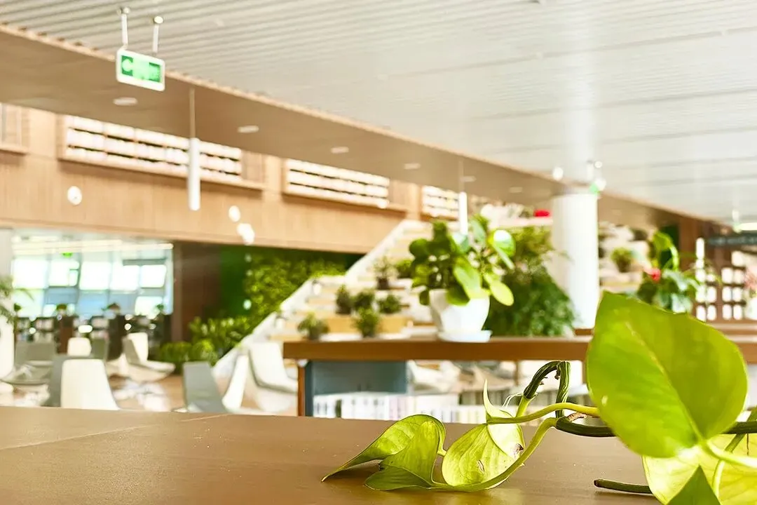 重磅!浙江省初三一模作文真题集锦|以拼图喻成长,藏尽中考写作核心 第22张