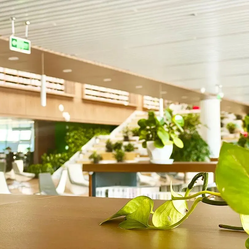 重磅!浙江省初三一模作文真题集锦|以拼图喻成长,藏尽中考写作核心 第25张