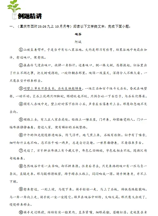 2026年中考语文现代文阅读考点精讲精练(全国通用),打印一份给孩子掌握吃透了,保证考试一分不丢! 第12张