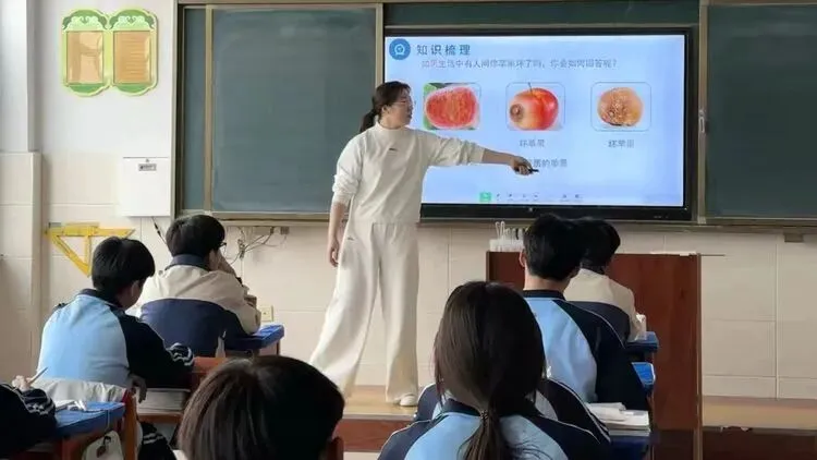 精准把脉明方向 凝心聚力备中考|旗教研室教研员莅临奈曼旗黄花塔拉中学开展初三听课评课暨指导活动 第7张