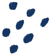 西浦期中复习资料来啦!真题+知识点汇总 第5张