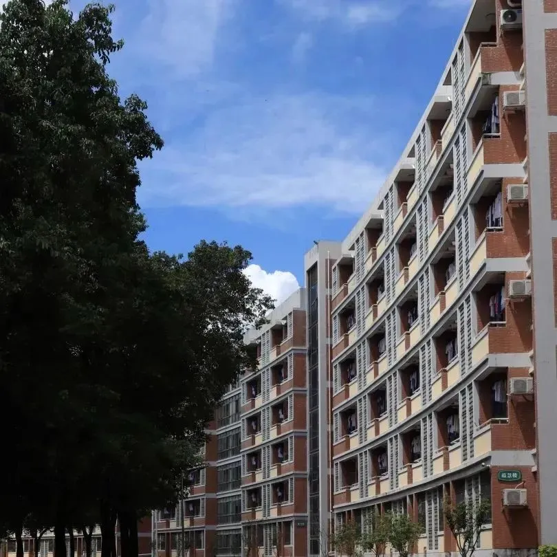 2026中考必读!如何让孩子考上【松湖莞中】? 第12张 2026中考必读!如何让孩子考上【松湖莞中】? 第12张